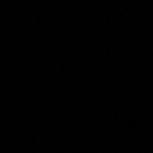 Meet your Posher, Luis